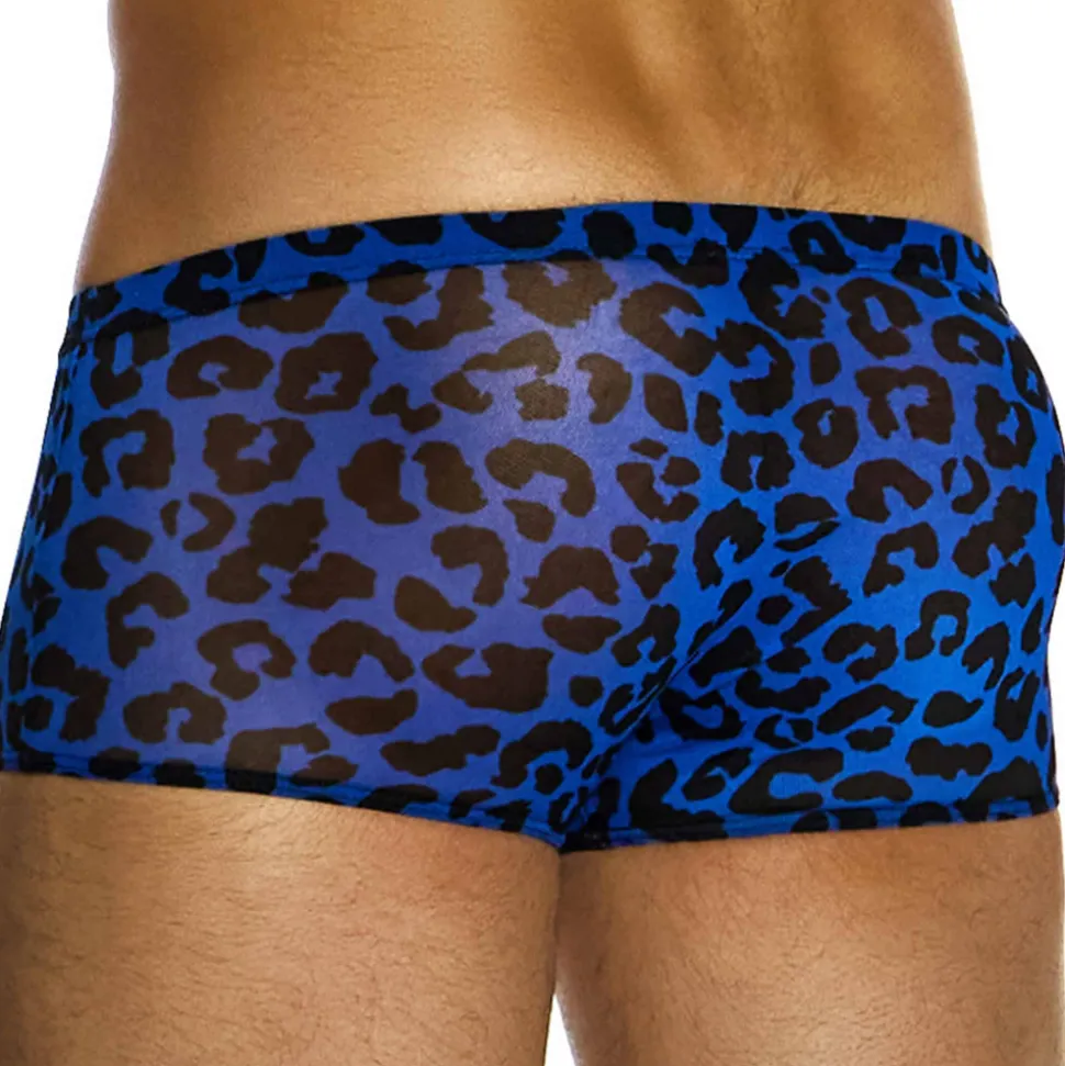 Boxer Brazil Léopard Bleu