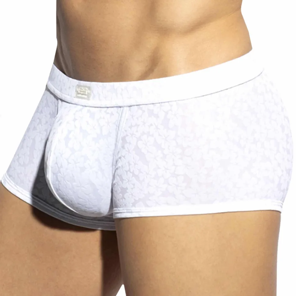 Boxer Court Daisy Flower Blanc