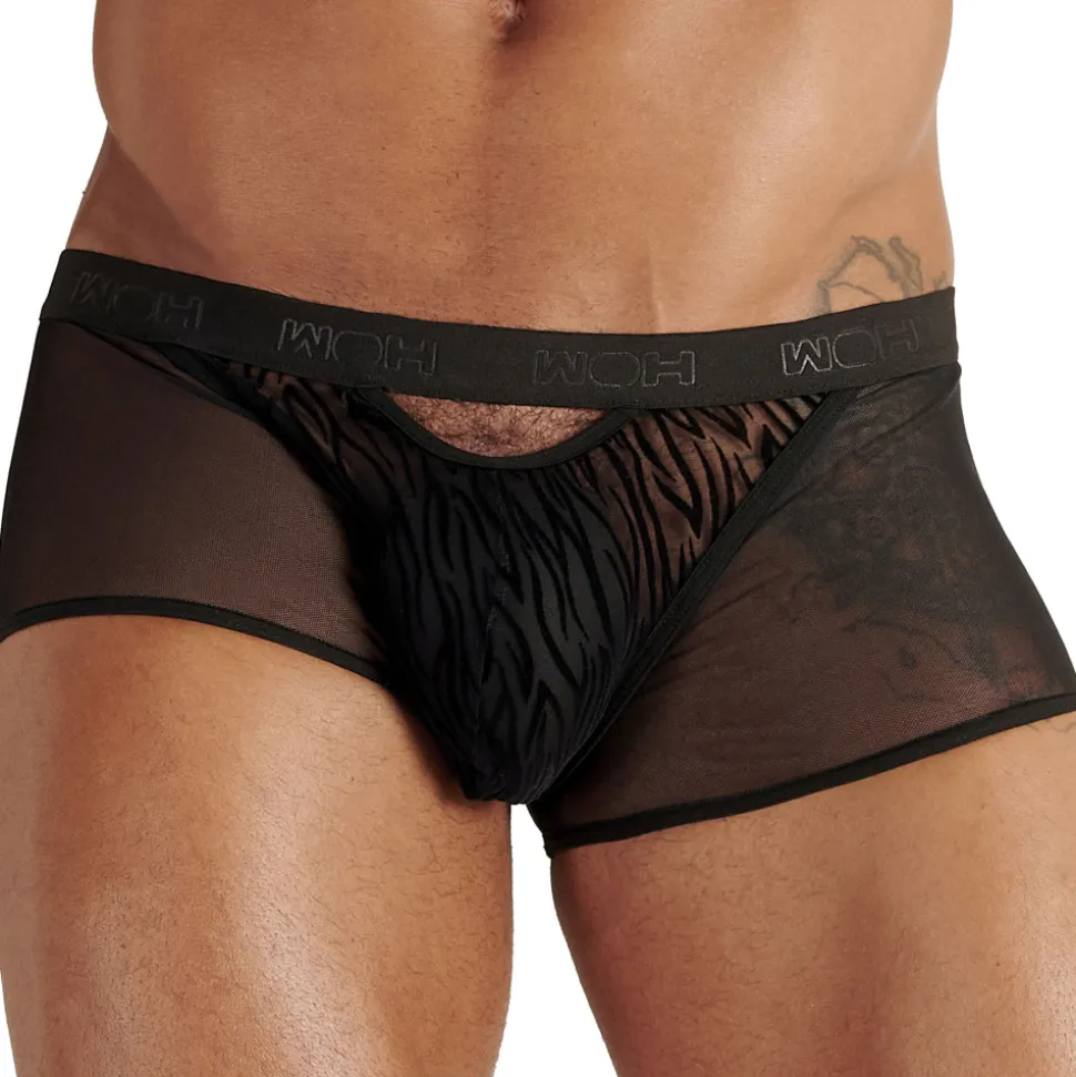 Boxer Court Personal Allure Tigré