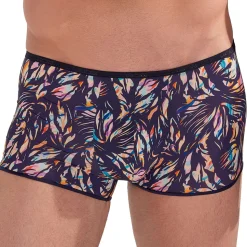 Boxer Court Temptation Plume Viscaya