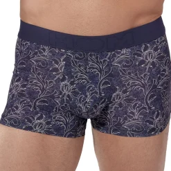 Boxer Court Temptation Plume Meadow