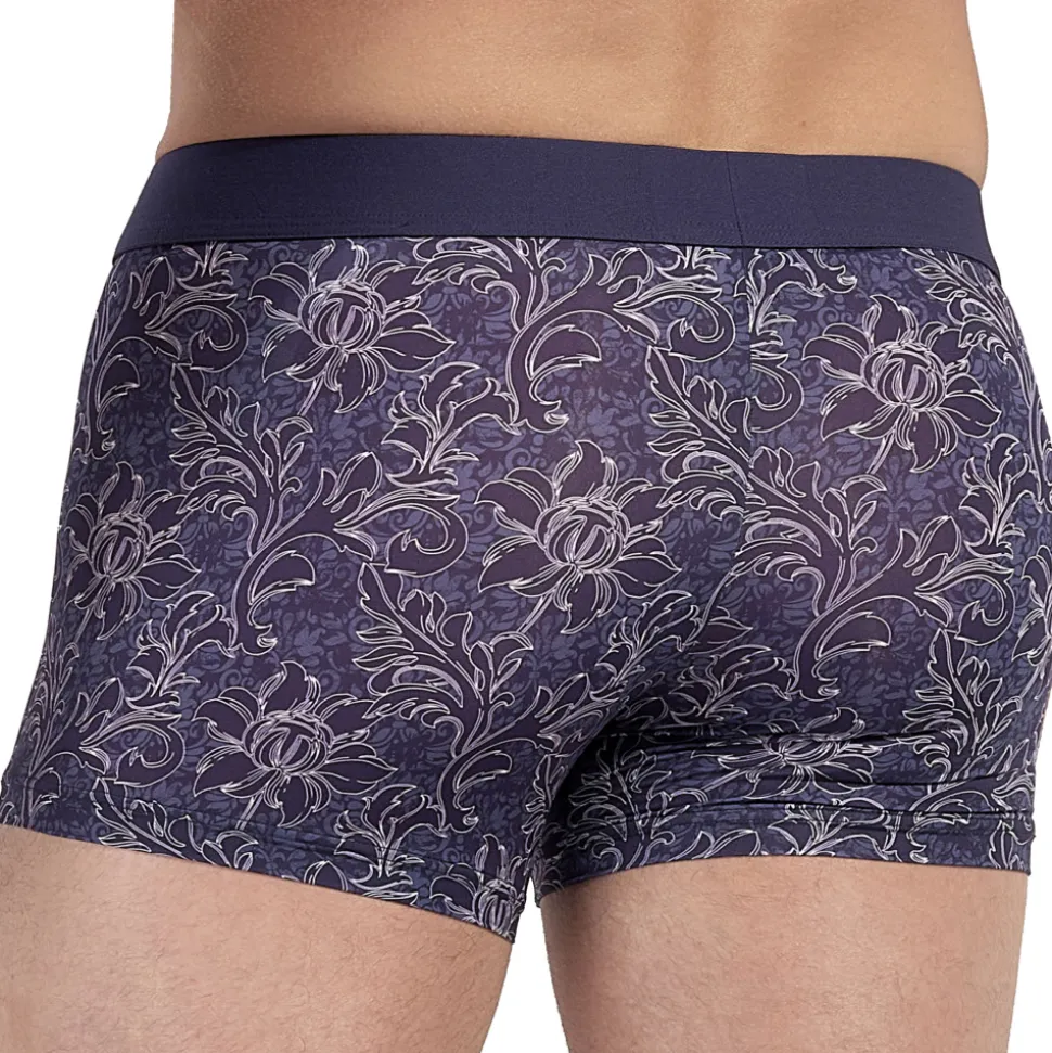 Boxer Court Temptation Plume Meadow