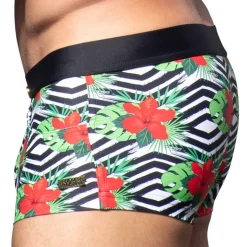 Boxer de Bain Miami