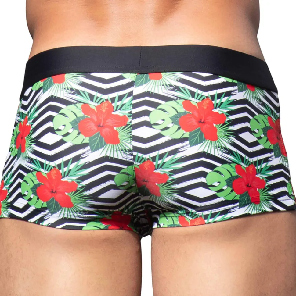 Boxer de Bain Miami