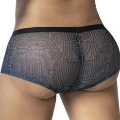 Boxer Egyptien Bleu