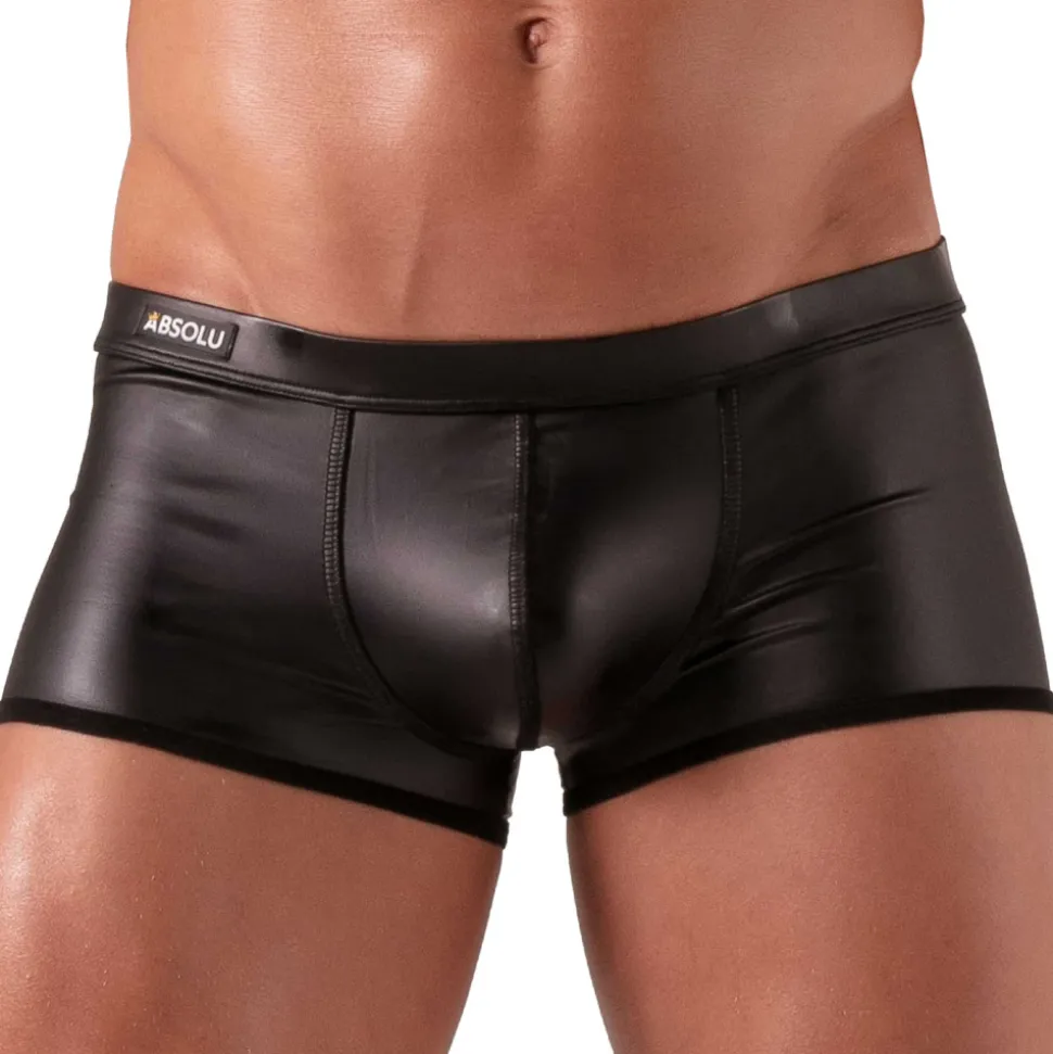 Boxer Master Noir