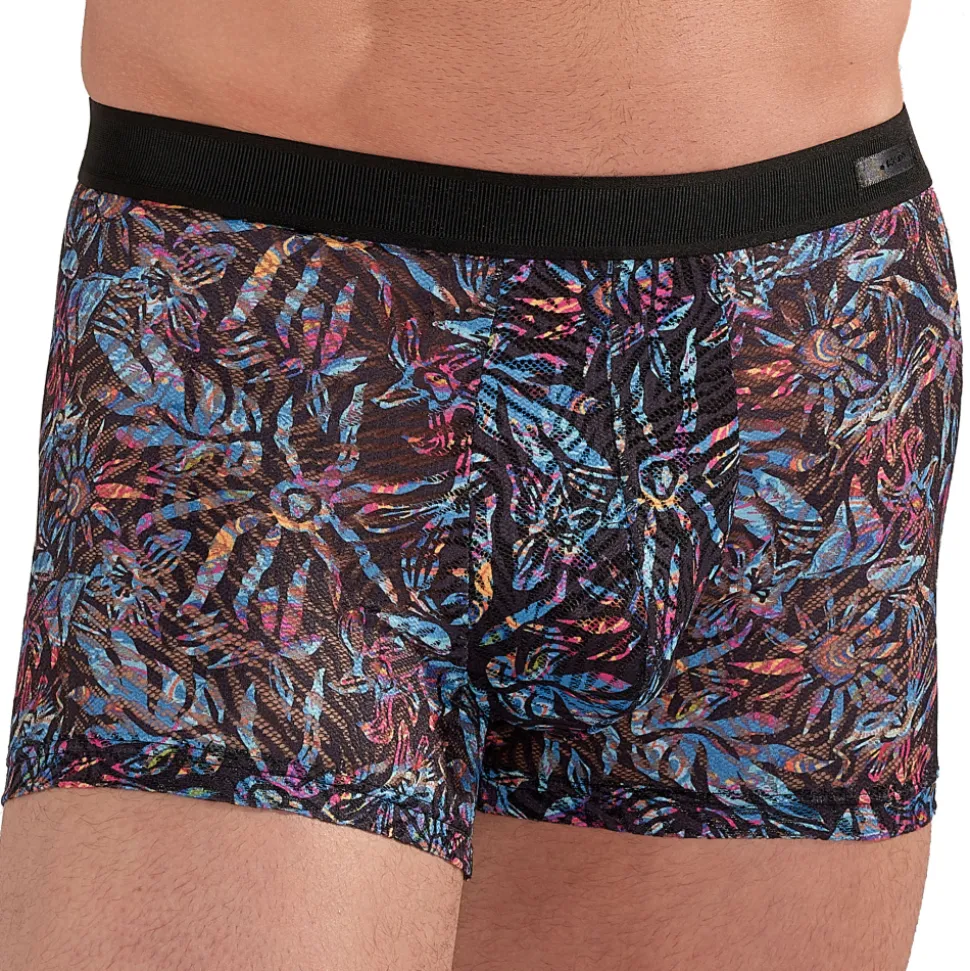 Boxer Temptation Biscayne