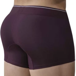 Boxer Valladolid Bordeaux