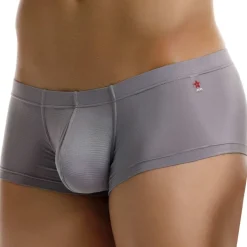 Shorty Cosmo Gris