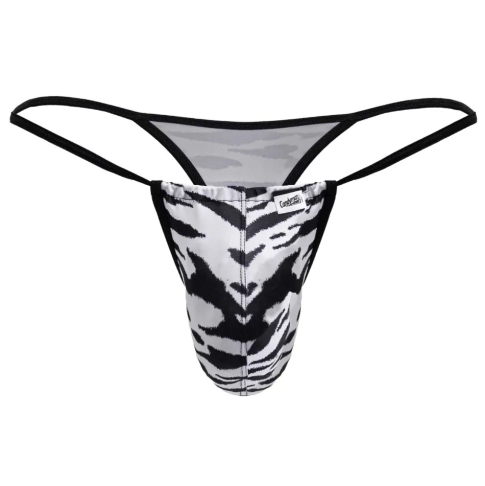 String Micro Zèbre