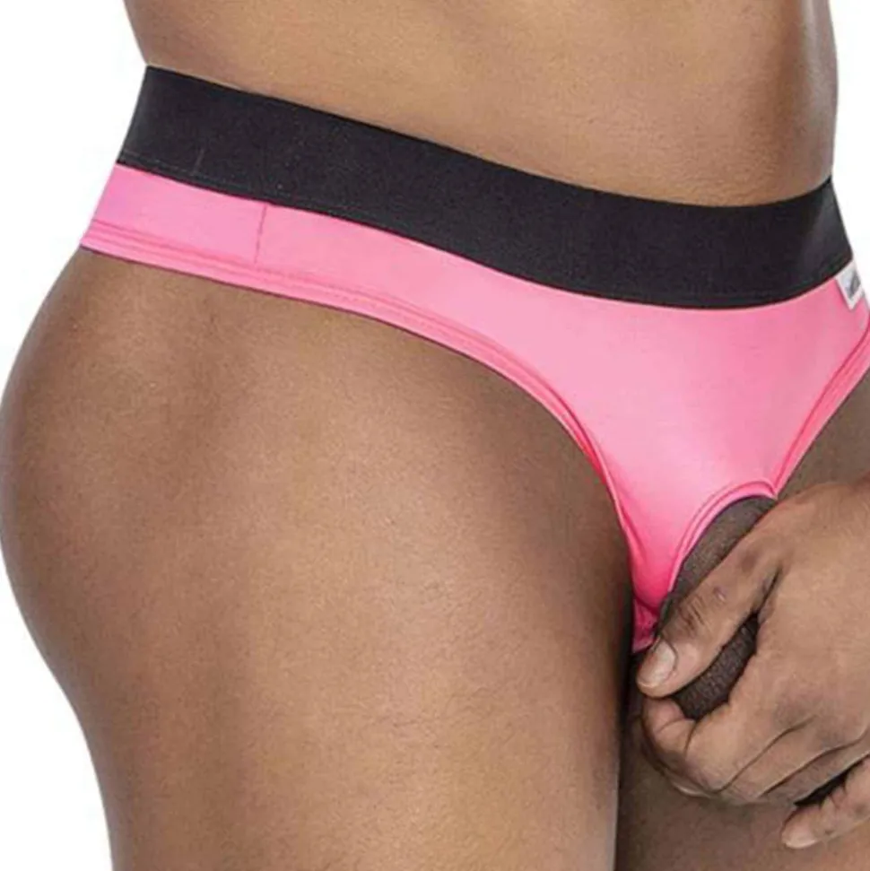 String Protuder Rose